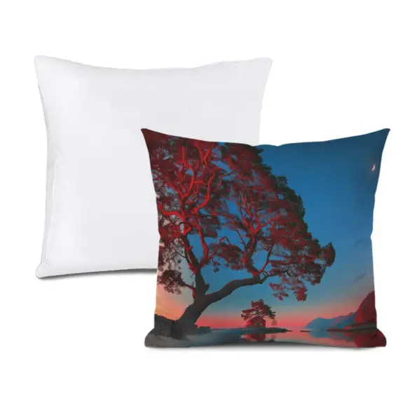 Polyester Throw Pillow, 12x12 Inch Double-Sided Print Cushion, Soft Fabric, Invisible Zipper, Durable and Breathable, Includes Pillow Core