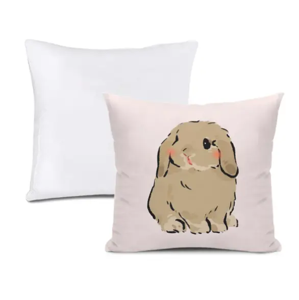 Cute Sitting Brown Rabbit, Throw Pillow with Insert, Double Sided Print, Multiple Sizes Available